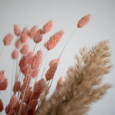 L3 Arena Gare Centre * ריימס