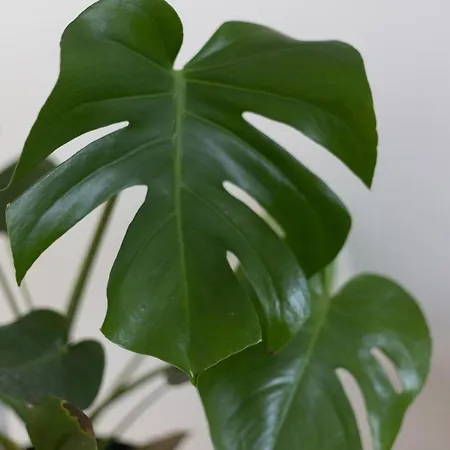 L3 Arena Gare Centre דירה ריימס