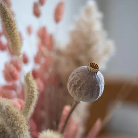 L3 Arena Gare Centre Apartmán *