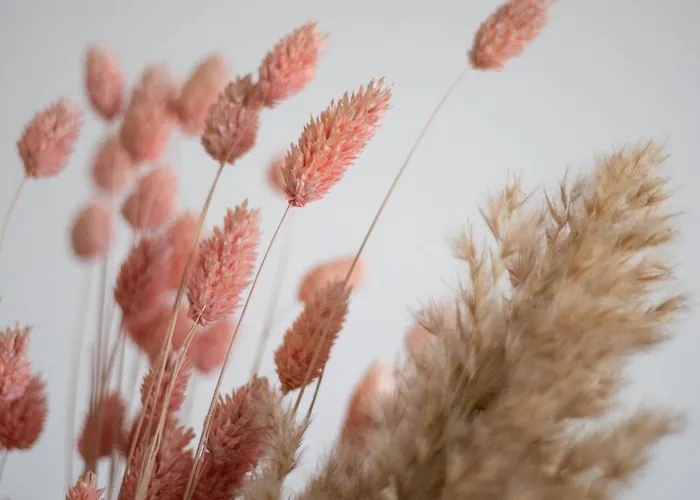 L3 Arena Gare Centre * Reims