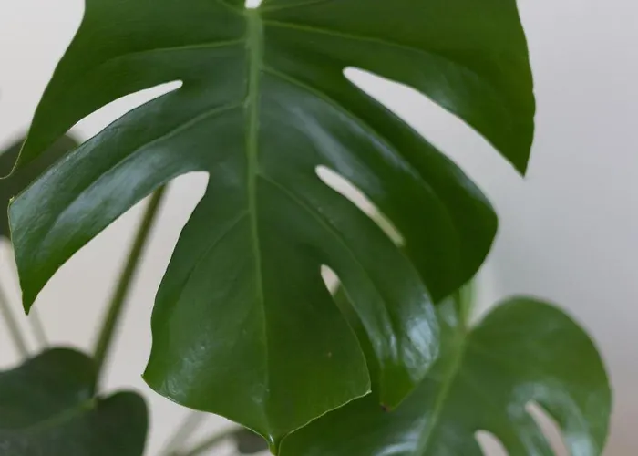 L3 Arena Gare Centre Appartement Reims