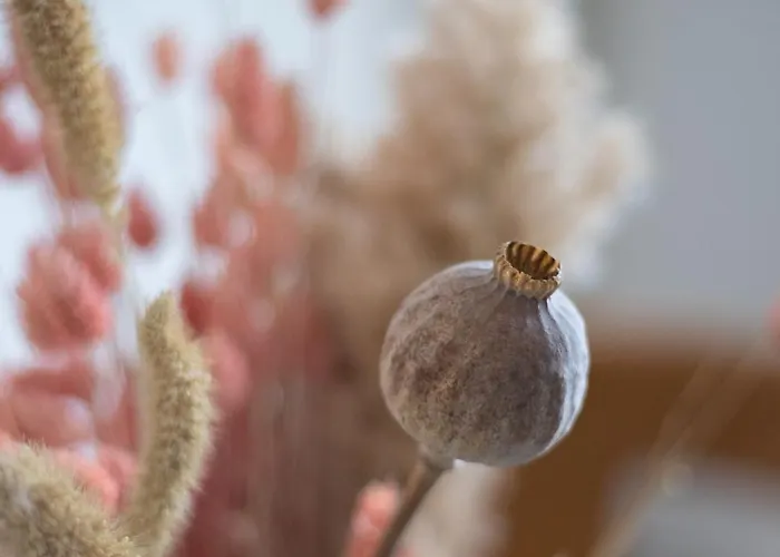 L3 Arena Gare Centre Appartement *